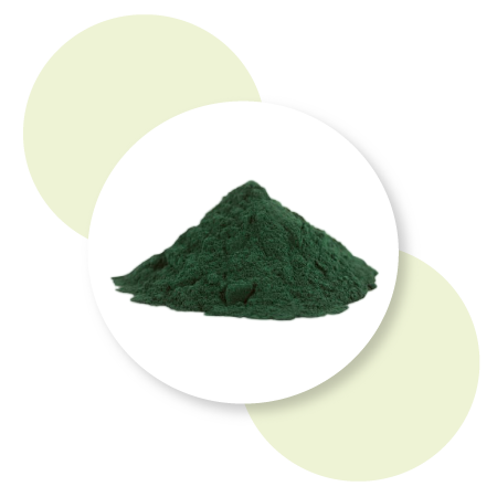 Spirulina-Image
